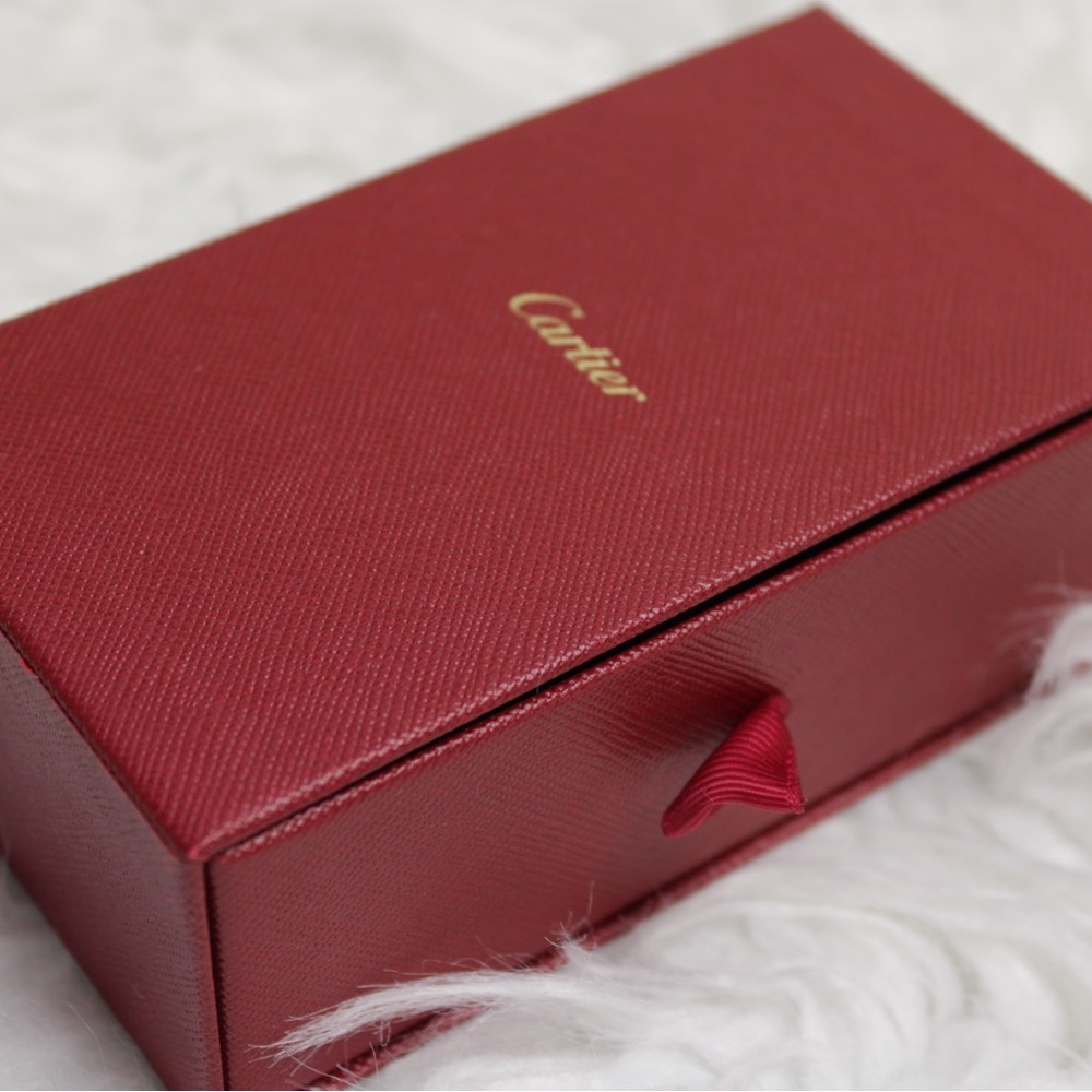 Authentic Cartier Jewelry cleaning kit